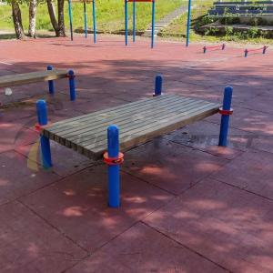 Купить Помост для выполнения испытания "Сгибание-разгибание рук в упоре лежа на полу" в Тайшете 