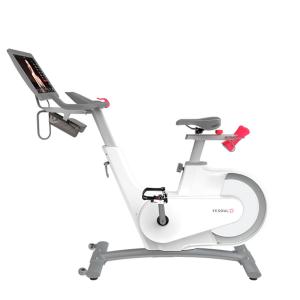 Купить Велотренажер Yesoul BV1-W PLUS в Тайшете 